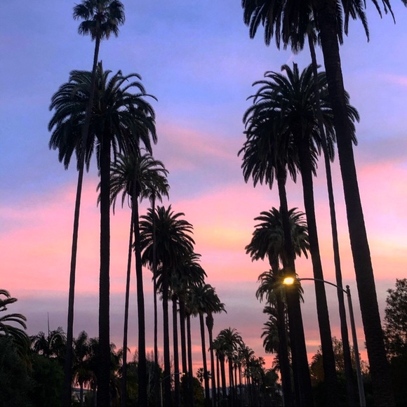 Meet your Posher, Naomi - Picture 1 of 1